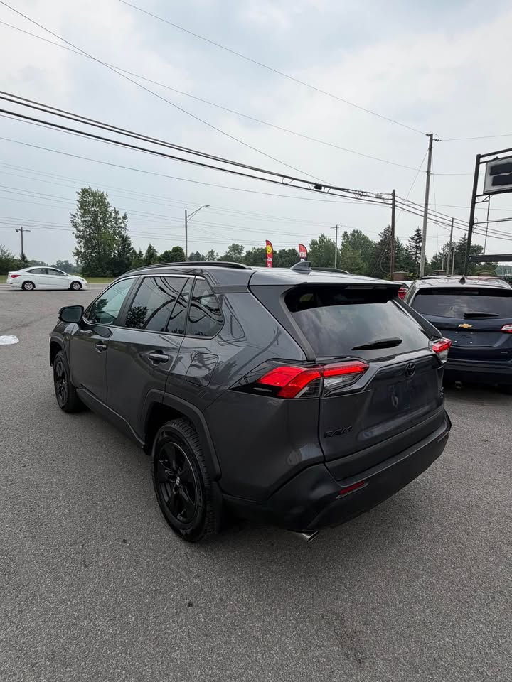 2020 Toyota RAV4 thumbnail 4